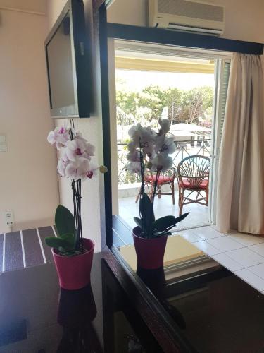 Hotel Kalamitsi Apartments - image 13
