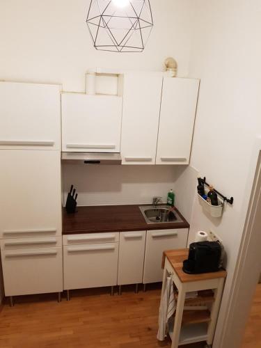 Sweet flat in the center of vienna