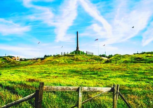 Haraldshaugen Camping - image 6