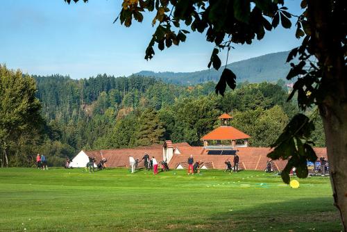 Svachovka - image 13