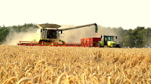Poppy Glamping Pod in เค็นนิวอร์ท