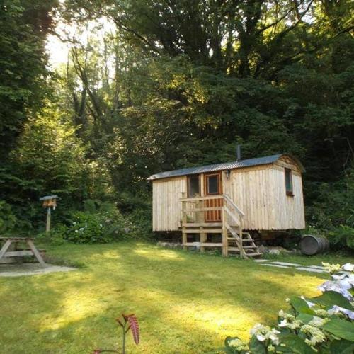 'Morris' the shepherd's hut with woodland hot tub — Hotel in Trelech