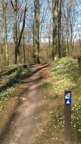 Sæby Spektrum & Hostel - image 6