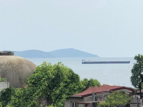 The Zanadu İstanbul, Istanbul (photo 10)