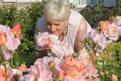 B&B Rozerie chambre d'hôte Waregem