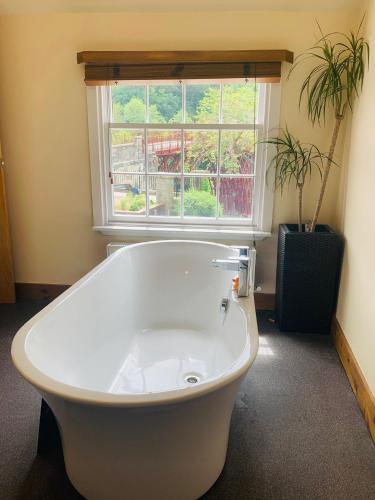 Bridge View Guest House Bridge View Guest House