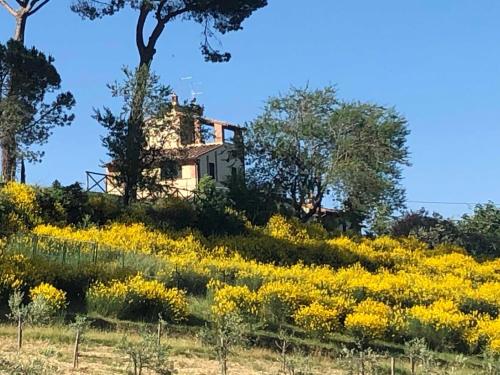 Podere La Cava – Chianciano Terme, WI