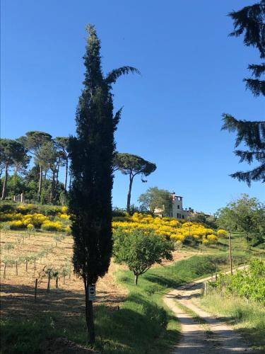 Podere La Cava – Chianciano Terme, WI
