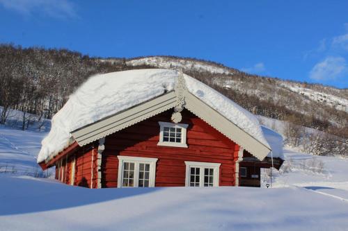 Gamlestugu hytte in Ål