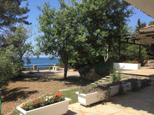 Dārzs, Seaside Vila in Platanitis Maronia