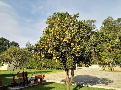Metro Vilar Suites & Villas - image 4
