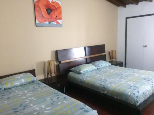Casa Kiwi Hostel, Медельин (фото 7)