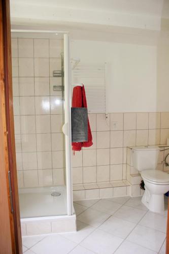 Hotel Gotthard - image 5