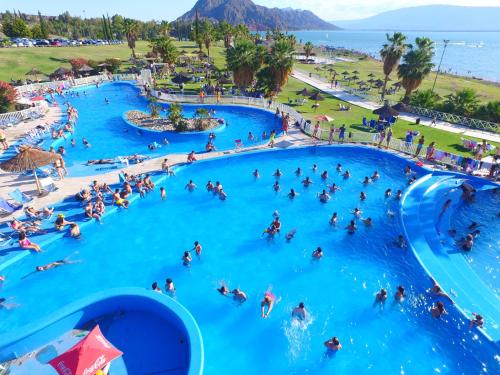 pileta del bono park