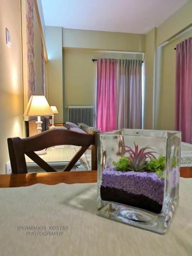 Ostria - main image