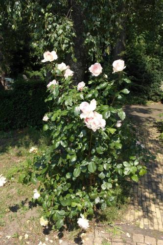 Art Bed & Breakfast - image 14
