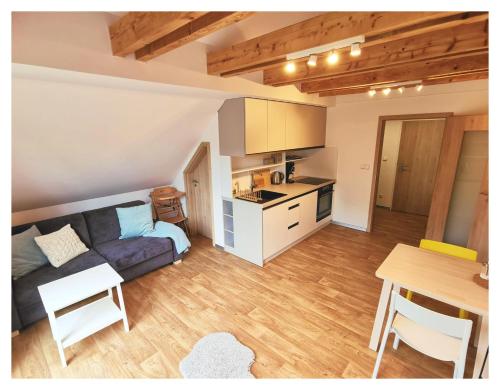 kuchyně, Apartmán v podkroví (Apartman v podkrovi) in Říčky