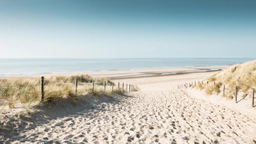 Pollux bij Vuurtoren en strand