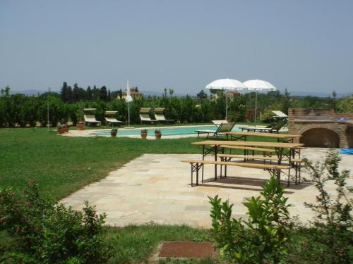 Le Casine - image 6