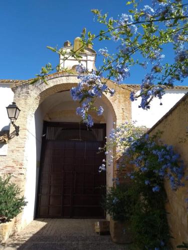  Hacienda Los Jinetes in 41410 Carmona