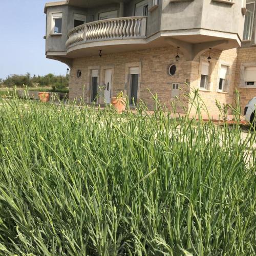 Apartments for families with children Slivnica Zadar - 17512