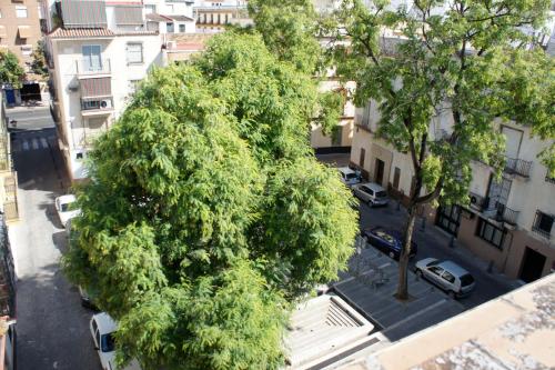 Pension Perez Montilla - image 14