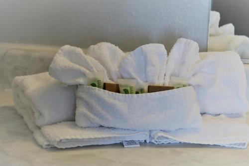 Minsk Hotels - Extended Stay, I-10 Tucson Airport - 화장실