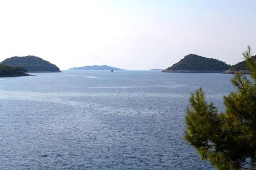  Apartments by the sea Ubli (Lastovo) - 8354 in Ubli