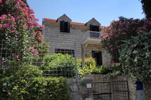 Seaside holiday house Cavtat Dubrovnik - 9113