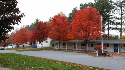 West Winds Motel & Cottages