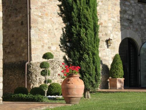 Tenuta Di Canonica - image 10