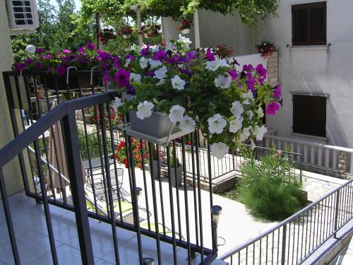 Apartment Palma - image 11