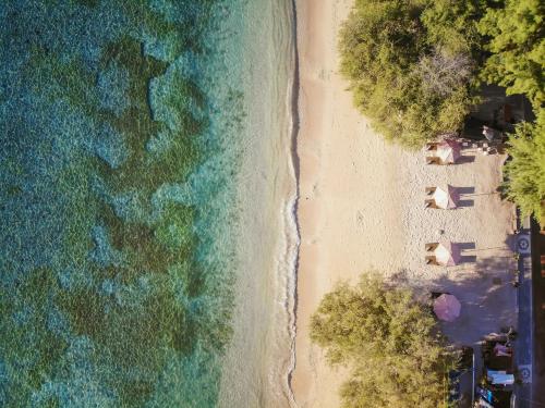 Vamana Resort