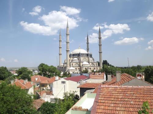 ACR PALAS - image 12