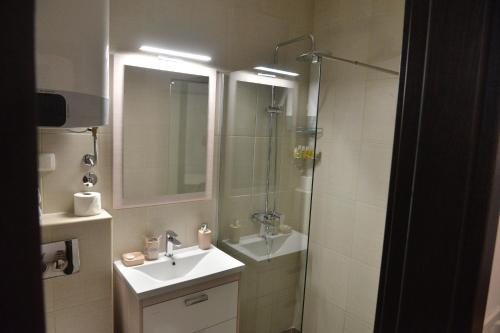 Standard Apartment image 4
