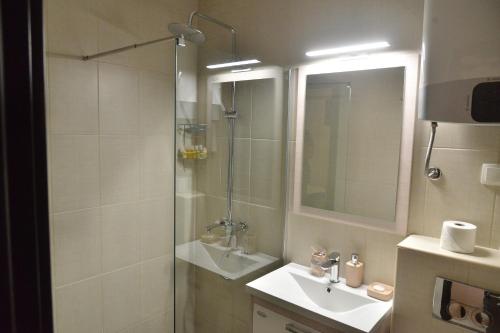 Studio Apartment image 7