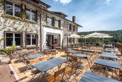 Hôtel Restaurant La Vigotte - image 2