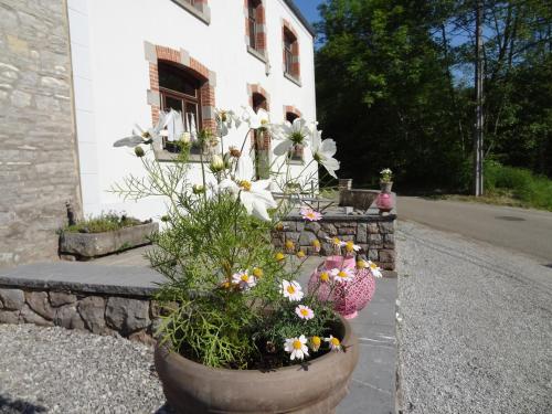  L'Annexe du Moulin, Pension in Franchimont bei Flavion