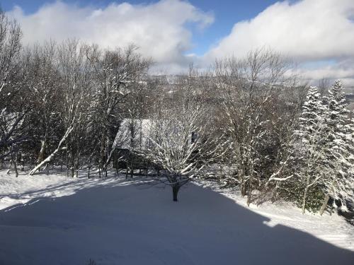 Skyleaf E_17 Condo in Sugar Mountain, USA