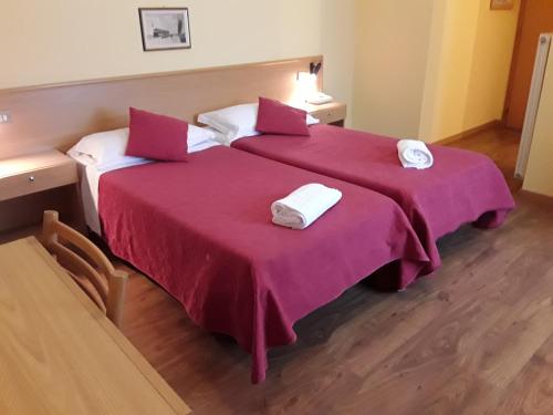 Hotel Bellaria - Tap to explore photos