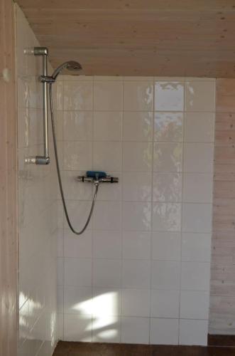 GRANDE VILLA AVEC JACCUZZI gîte à louer Lopérec