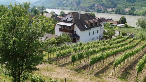 Weingut & Gästezimmer Pammer in Mitterarnsdorf, Österreich