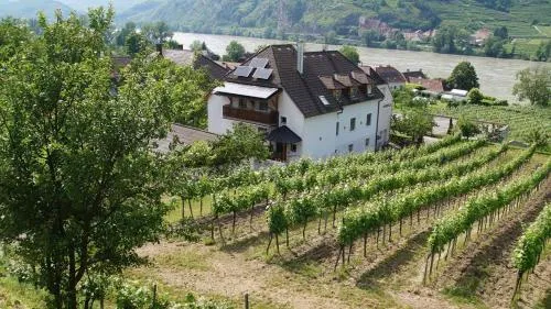 Weingut & Gästezimmer Pammer in Mitterarnsdorf, Österreich