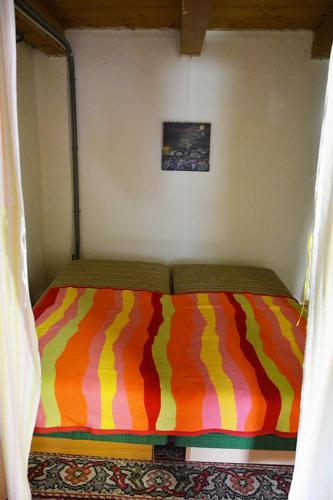 Mixed Dormitory Room