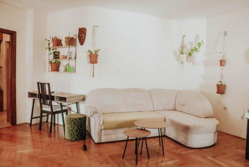  Apartment Yolanda in Pula