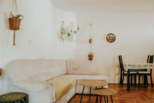  Apartment Yolanda in Pula