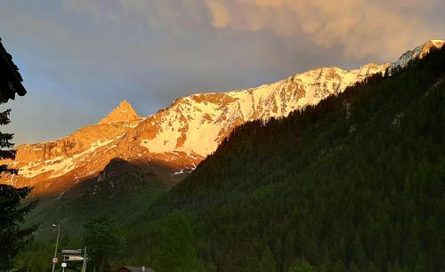 Chalet du Bon Air - image 12