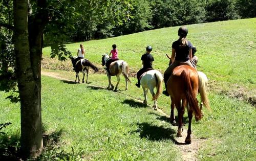 Camping du Lac - image 12
