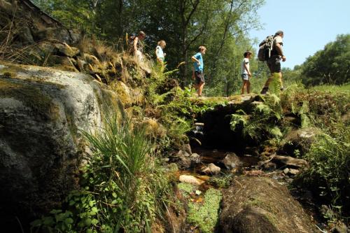 Camping du Lac - image 3