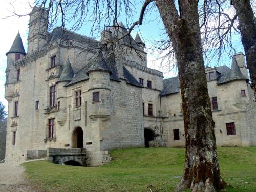 Camping du Lac - image 8